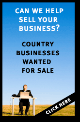 Businesses for sale